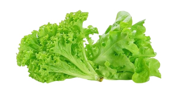 128779