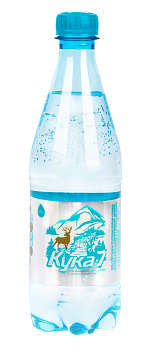 Вода минеральная ЧИТИНСКИЕ КЛЮЧИ КУКА-7 0,5л п/б 