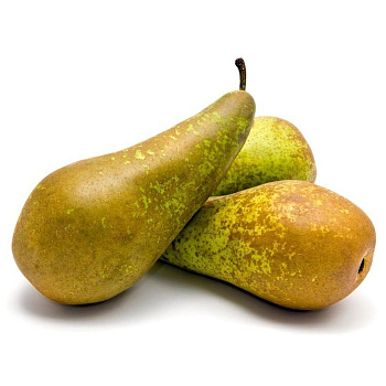 Груши Конференц