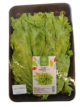 Зелень свежая ЗЕЛЁНЫЙ БАЗАР Салат 70г