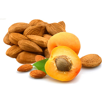 Ядро абрикоса