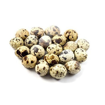 Яйцо перепелиное 20шт