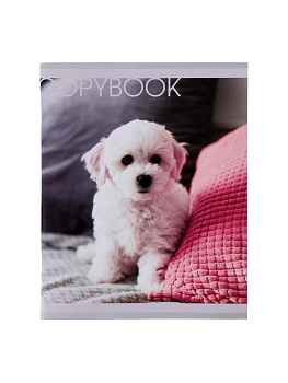 Тетрадь 48л кл Любимые питомцы, обл мел бум, блок №2 бел 75%, 4вид МИКС 6250518