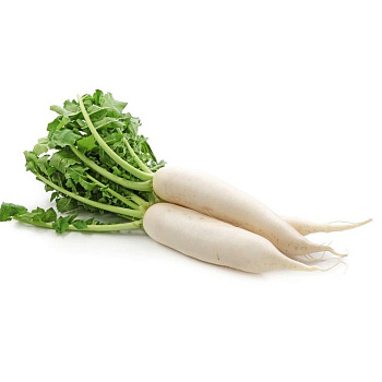 Редька Дайкон