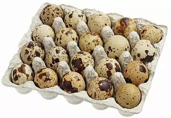 Яйцо перепелиное отборное 20шт