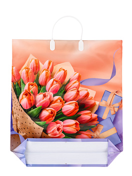 Пакет "Белиссимо" полиэтиленовый с пластик ручкой 40х44 100мкм 10956068