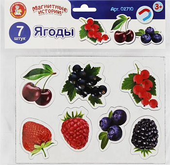 Магниты МагнитныеИстории Ягоды 02710