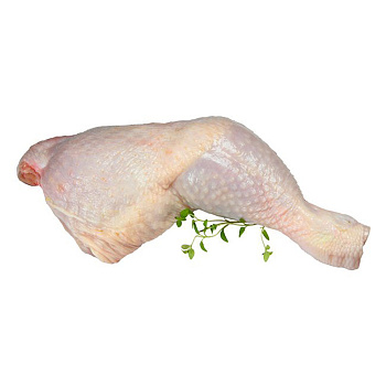 Окорочок цыпленка-бройлера РФ