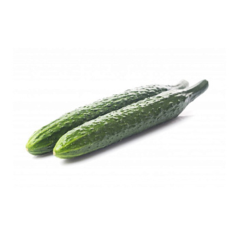 Огурцы свежие Крокодил