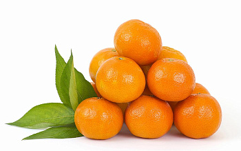 Мандарины Турция