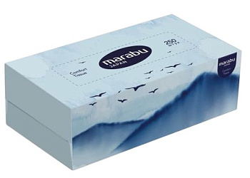 Салфетки бумажные  ПТИЦЫ/ГОРЫ 2сл 20*19 250шт