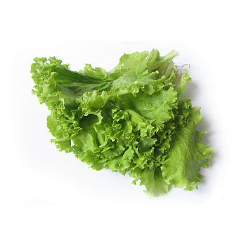 Зелень свежая ИП РЕВЦОВА Салат 70г