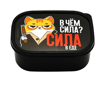 Ланч - бокс В чём сила? 500мл 4913047