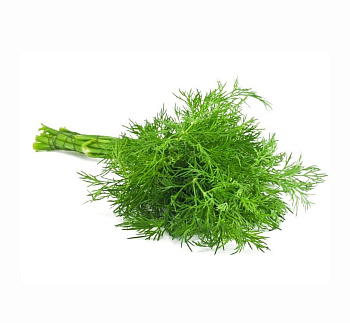 Зелень свежая ИП РЕВЦОВА Укроп 40г