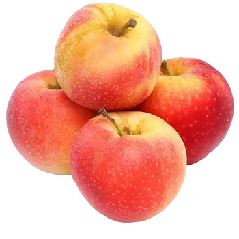 Яблоки Мэйба