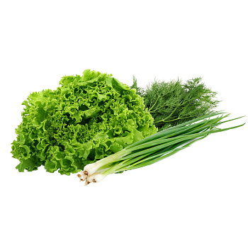 Зелень свежая ИП РЕВЦОВА Ассорти 200г