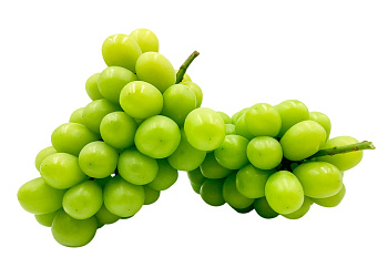 Виноград зеленый Шейн Мускат