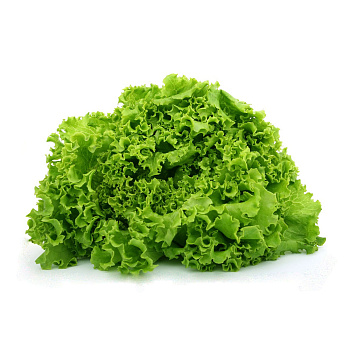 Зелень свежая ИП РЕВЦОВА Салат 200г