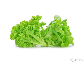 Зелень свежая СМАК Салат 50г