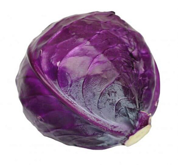 Капуста краснокочанная