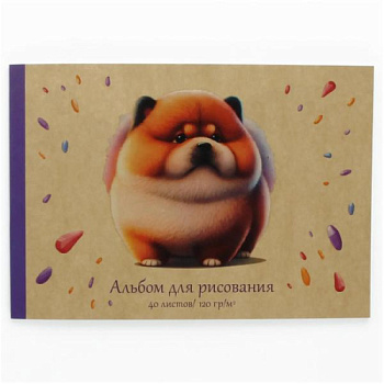 Альбом д/рис 40л ЭКСМО склейка Кругляш АЛ402506